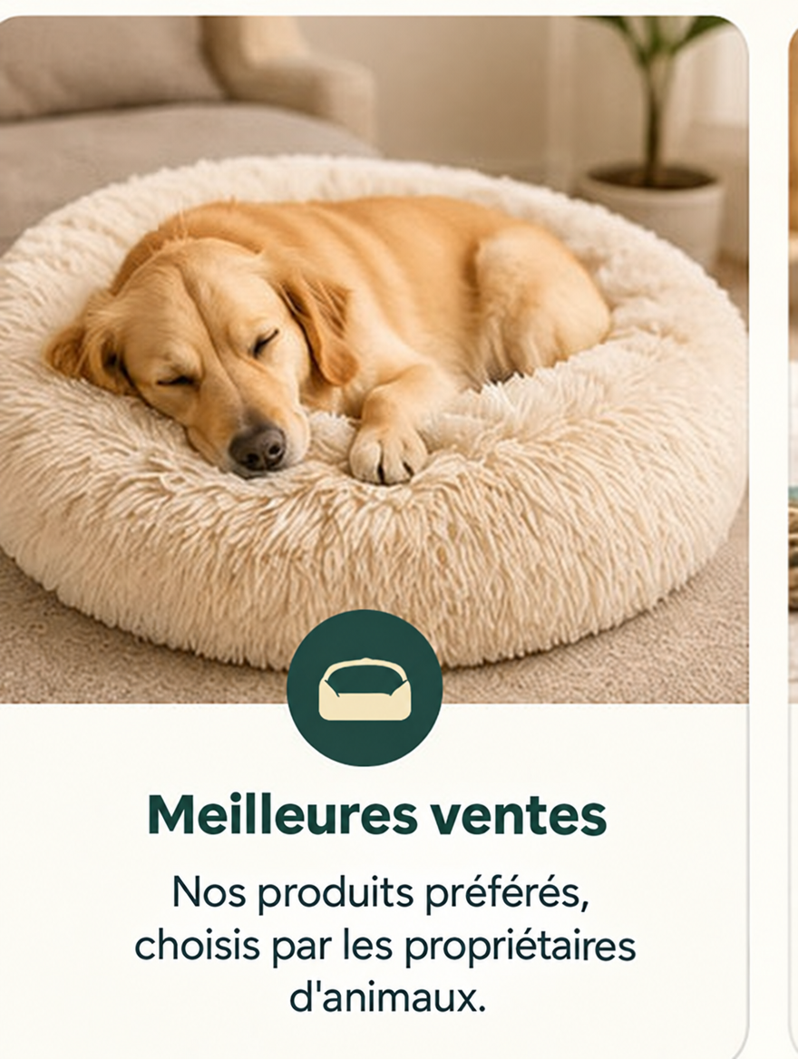 Meilleures ventes