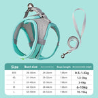 Dog Harness & Leash Set | Reflective Nylon Walking Set for Dogs & Cats