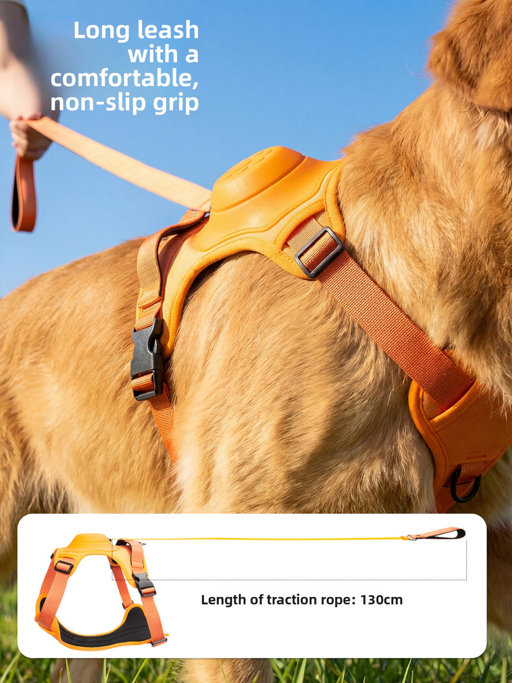 Dog wearing orange harness with leash standing on grass — no-pull padded harness | Pawnests