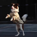 Large Dog Shirt | Breathable Anti-Shedding Tee for Big Dogs