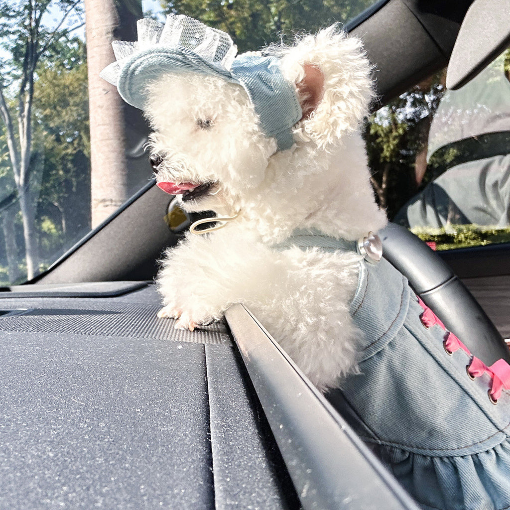 Pet Denim Skirt | Cute Summer Dress for Small Dogs & Cats