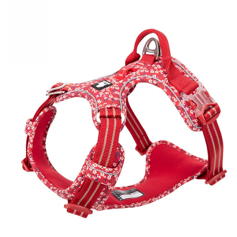 Dog playing outdoors in waterproof harness — Pawnests