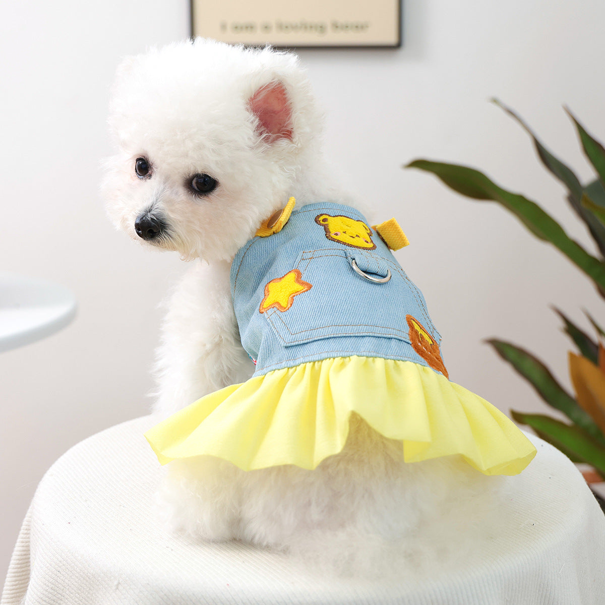 Pet Denim Skirt | Cute Summer Dress for Small Dogs & Cats – product image 43 | Pawnests