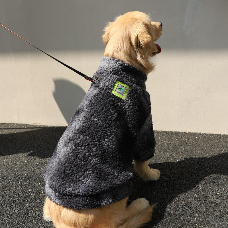 Large dog walking outdoors in winter jacket — Pawnests