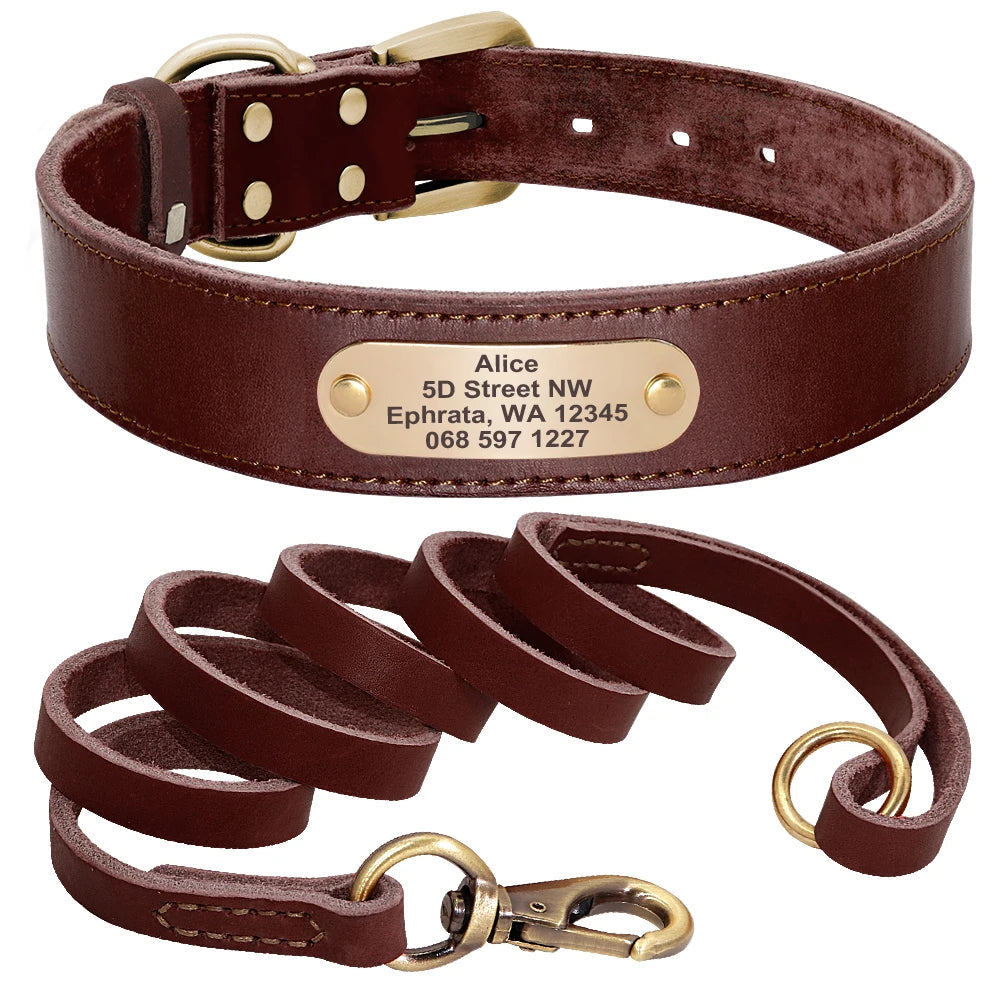 4 lines Custom Padded Collar & Walking Lead Pawnests