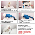 How to use a pet drying bag — 5 steps to dry a dog after a bath | Pawnests