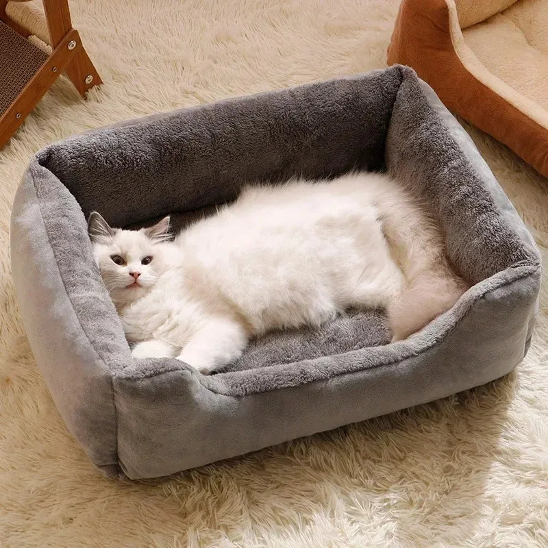 Cat sleeping in donut pet bed — raised rim anti-anxiety design — Pawnests