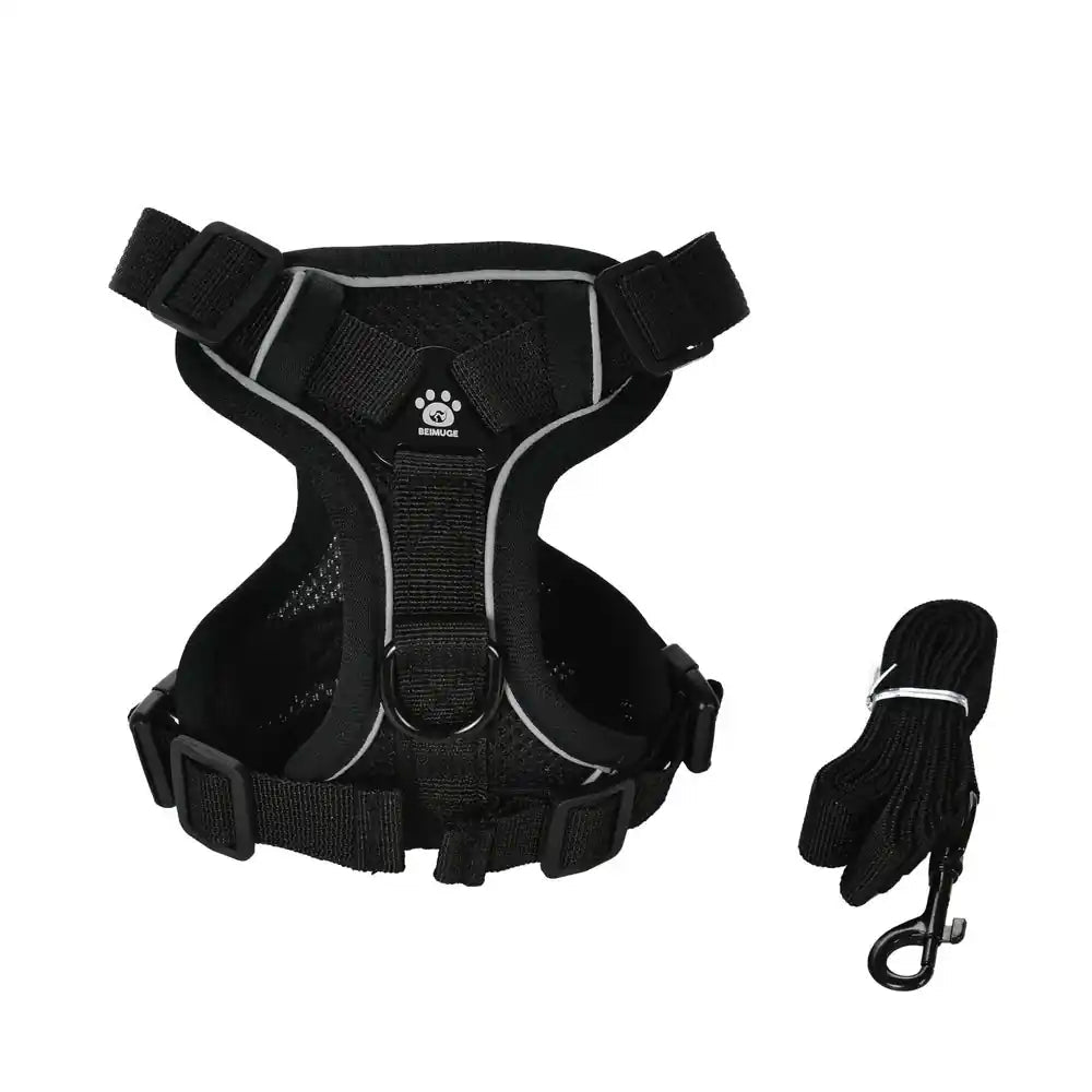 Pawnests Aura | Reflective Breathable Pet Harness & Leash Set Pawnests