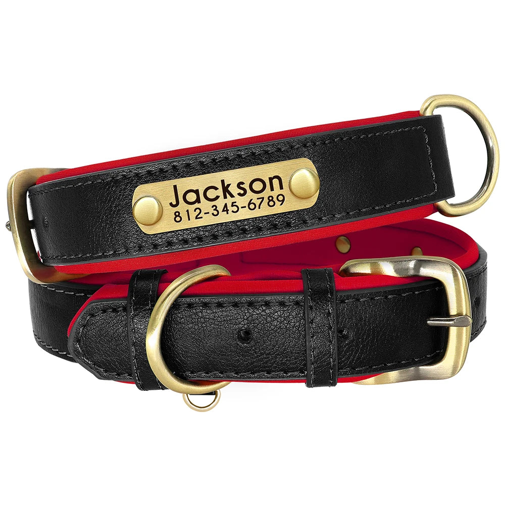 PawNests Choice: The Signature Leather Collar Best of Premium Pet Comfort Pawnests