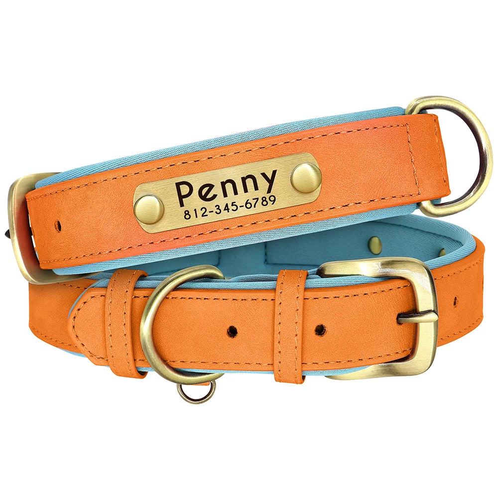 PawNests Choice: The Signature Leather Collar Best of Premium Pet Comfort Pawnests