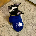 The Urban Explorer Dog Hoodie Pawnests