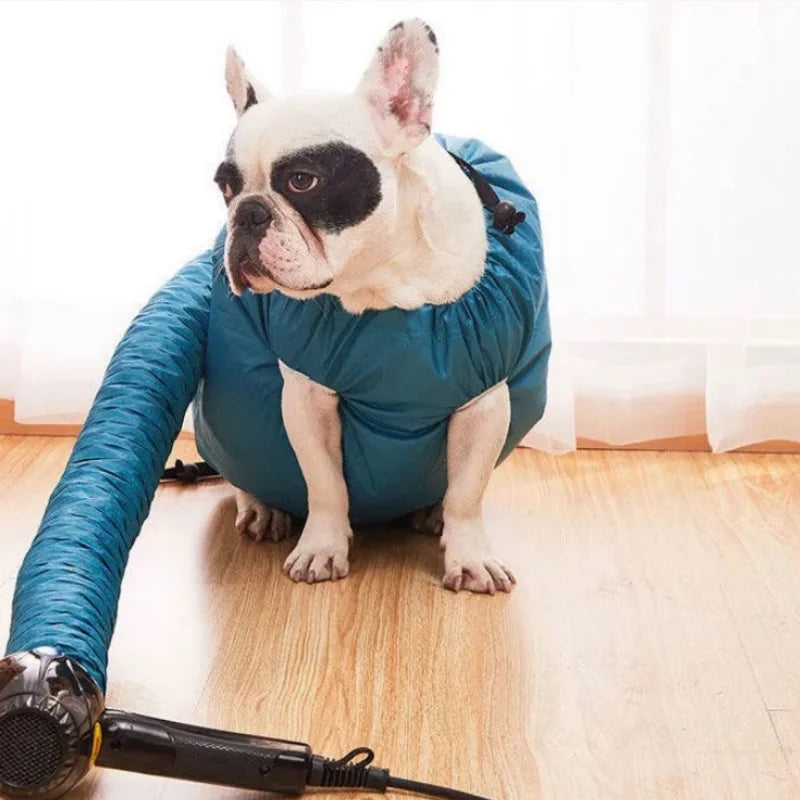 French bulldog drying in blue dog drying bag attached to hair dryer | Pawnests