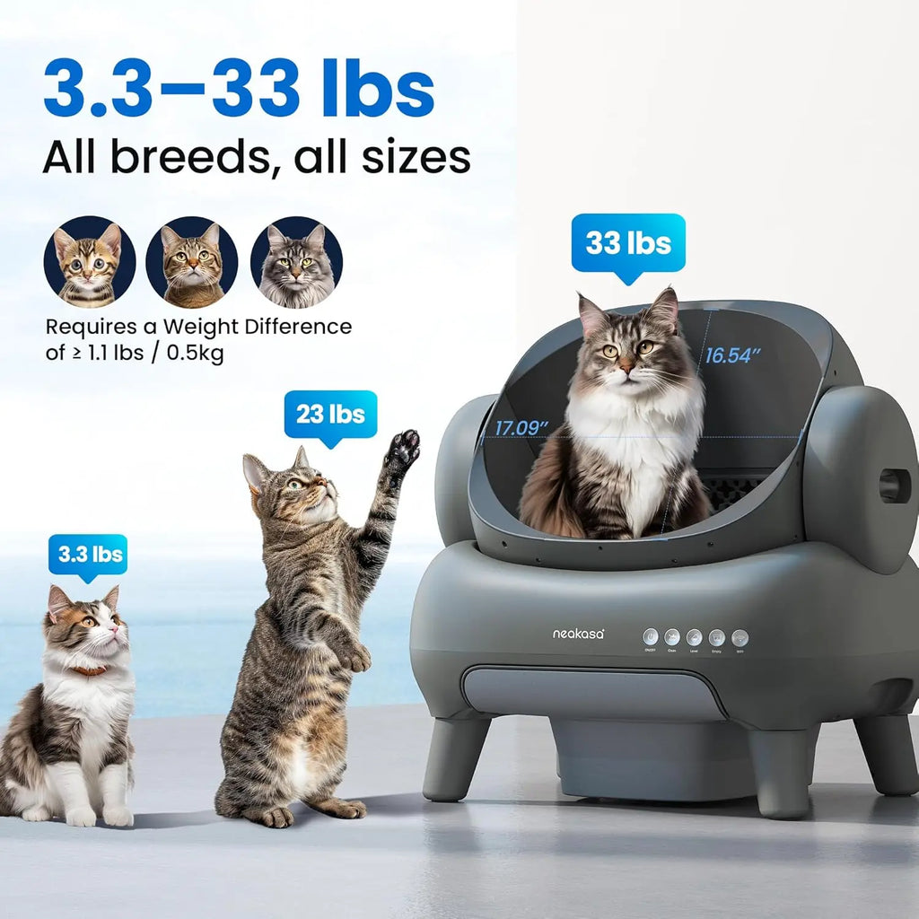 Cat weight indicator with cats of different sizes and weights displayed.