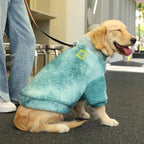 Large dog wearing warm winter jacket in green — Pawnests