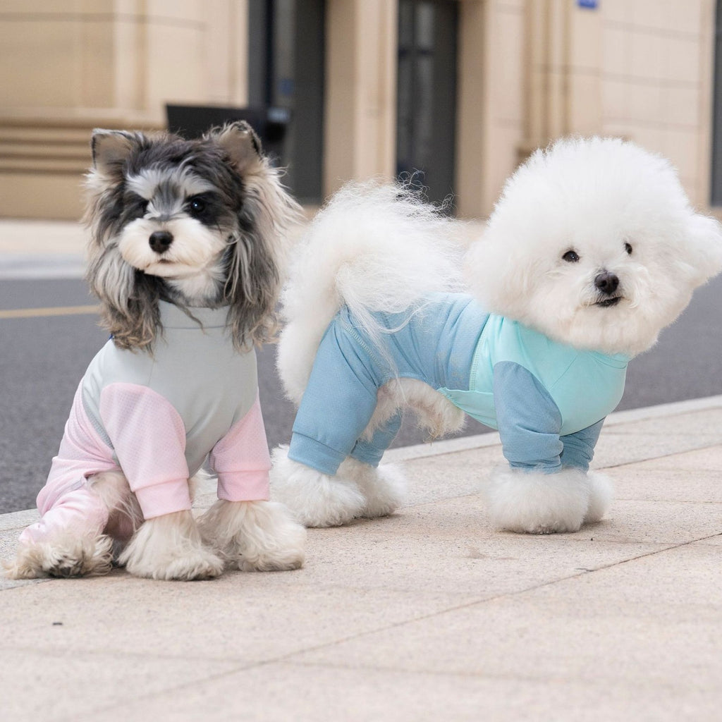 Pet Mesh Suit | Breathable 4-Leg Summer Outfit for Dogs & Cats