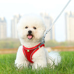 Dog Harness & Leash Set | Reflective Nylon Walking Set for Dogs & Cats