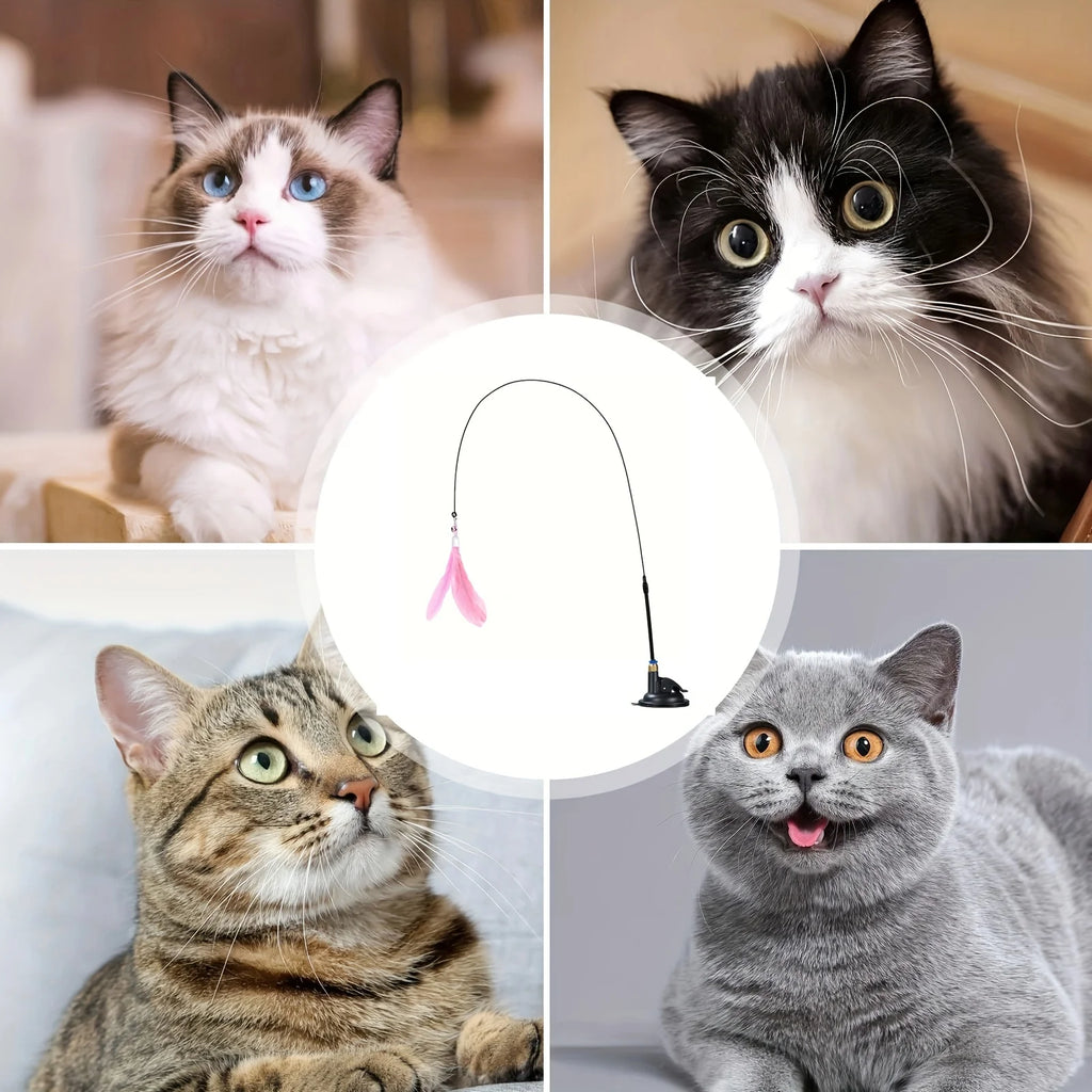 Four cats with a pink feather suction-cup cat teaser toy | Pawnests