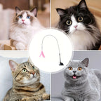 Four cats with a pink feather suction-cup cat teaser toy | Pawnests