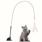Grey cat reaching for a feather cat teaser toy on a suction-cup base | Pawnests