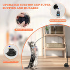 Upgraded washable and reusable suction cup for the cat teaser toy, with a cat playing | Pawnests
