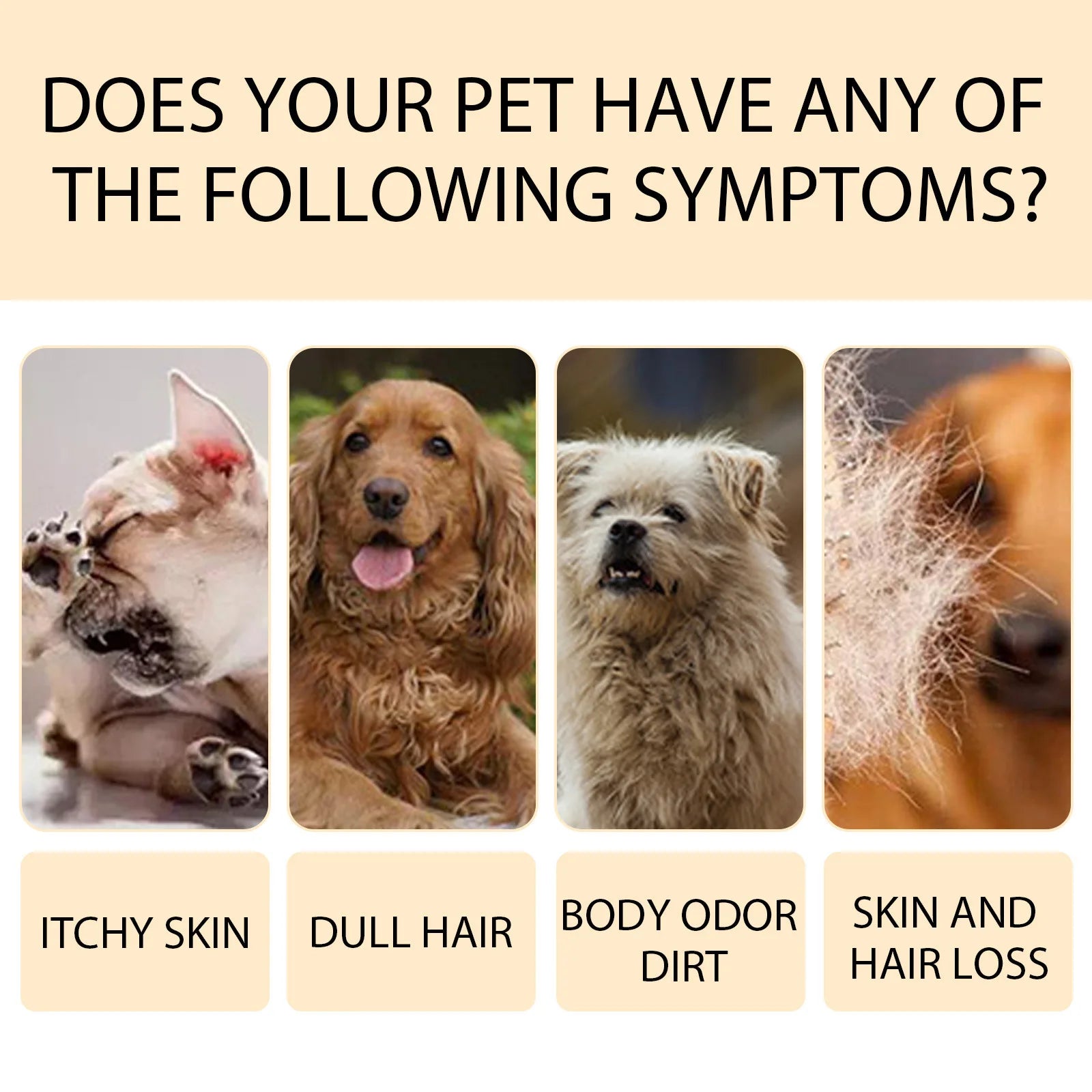 How to use dog shampoo step by step — lather rinse dry | Pawnests
