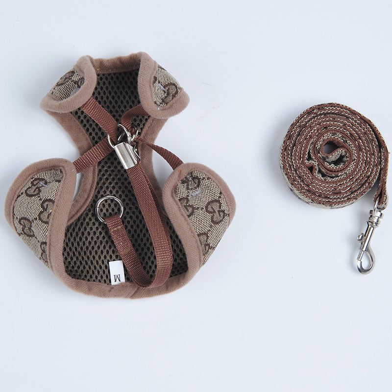 Small puppy walking on leash in harness — Pawnests