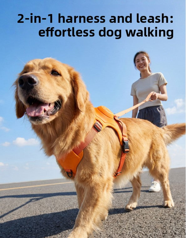 Set de Arnés y Correa Extensible Antiescapes para Perros
