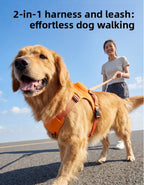 Set de Arnés y Correa Extensible Antiescapes para Perros