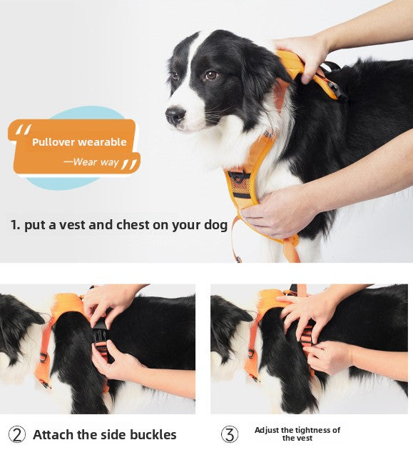 Set de Arnés y Correa Extensible Antiescapes para Perros
