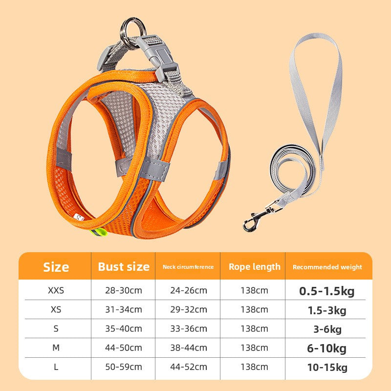 Small dog in reflective harness set — XXS size for tiny breeds and cats | Pawnests