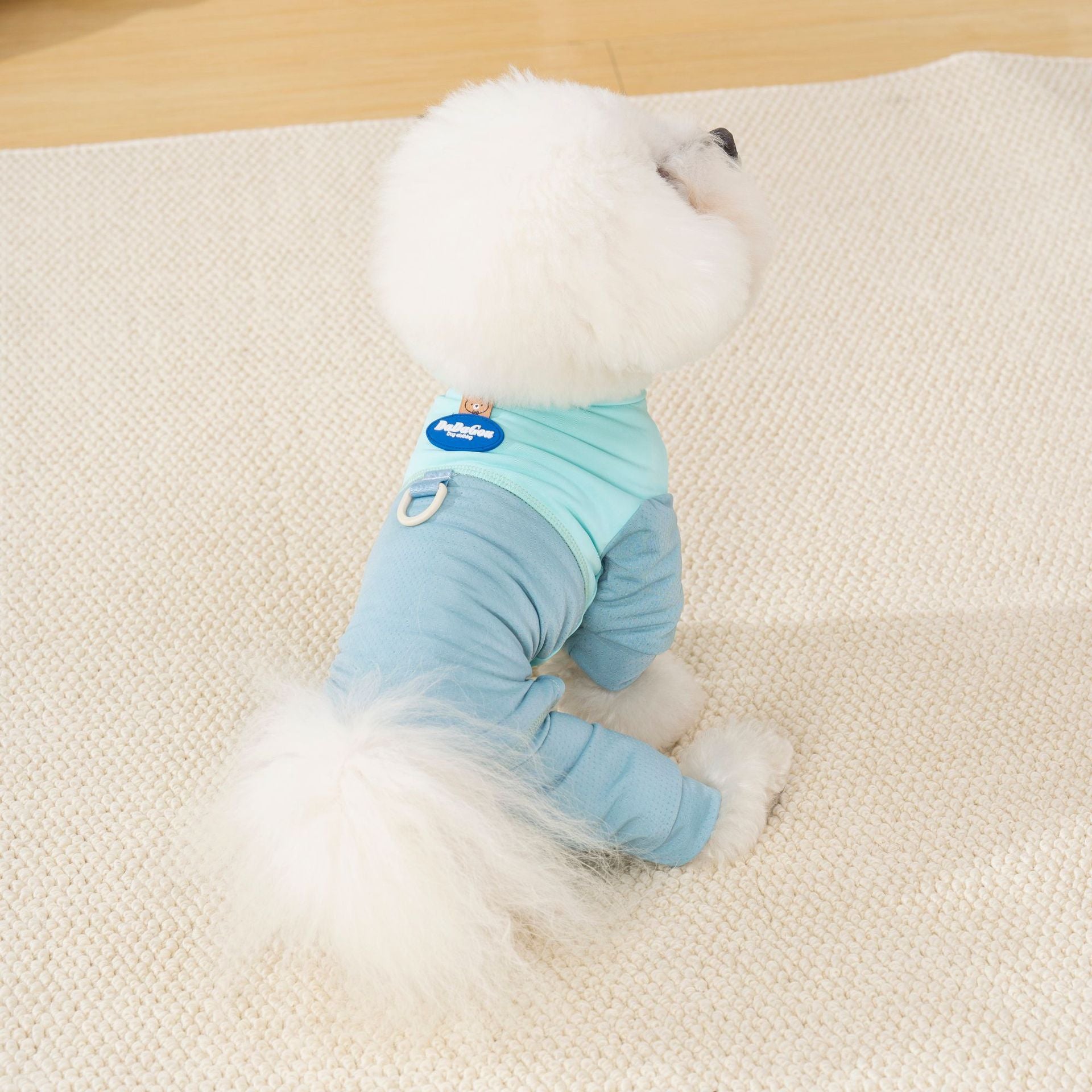 Grey breathable mesh four-leg suit on dog — full body coverage | Pawnests