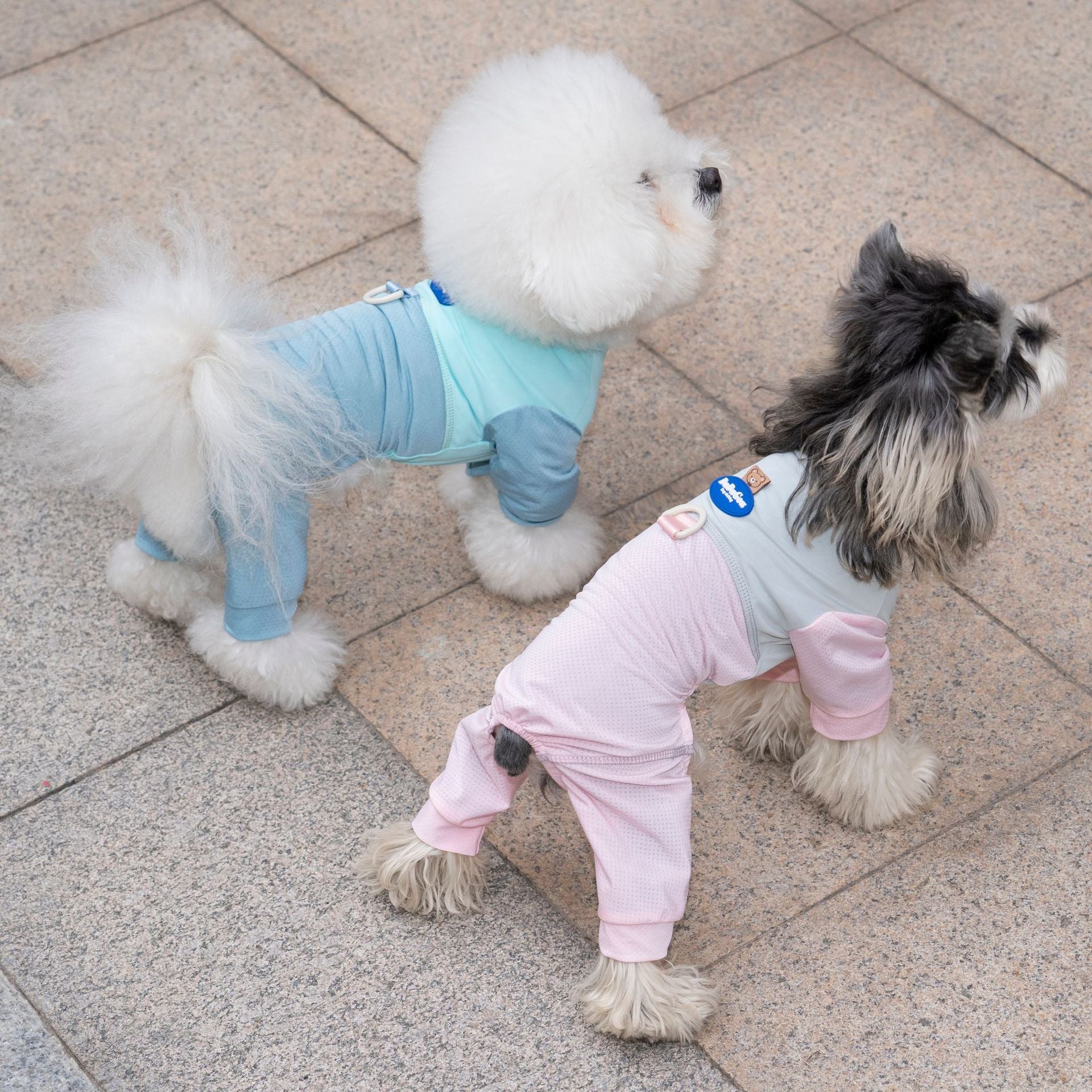 Dog wearing pink breathable mesh four-leg suit — summer pet outfit | Pawnests