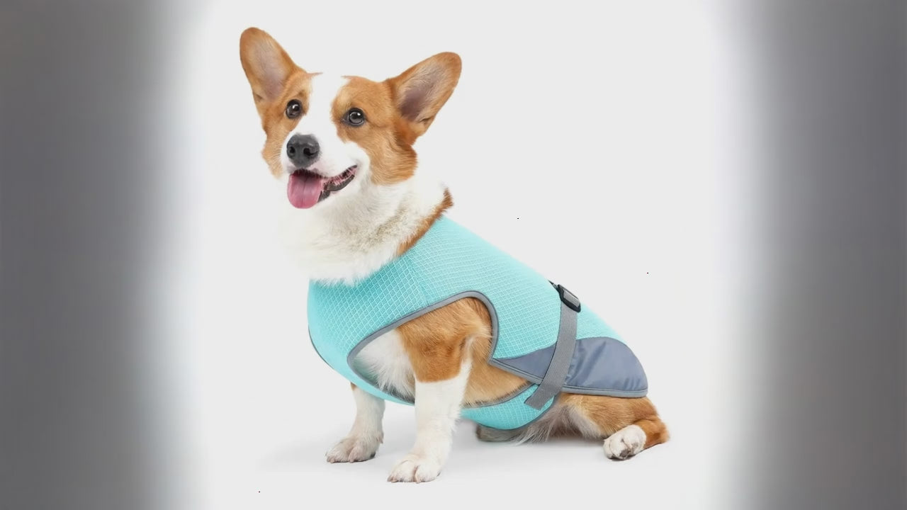 Chaleco Refrescante para Perros – Chaqueta de Verano Transpirable y Ajustable
