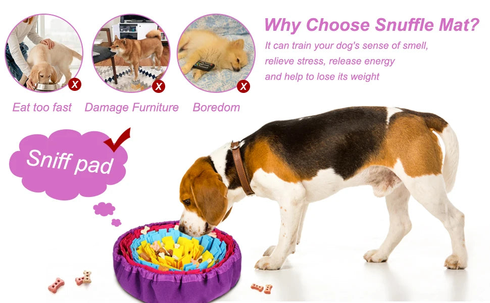 Beagle sniffing treats in snuffle mat — stops fast eating, chewing and boredom | Pawnests