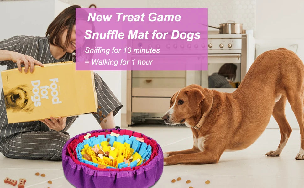 Dog playing a treat game on colorful snuffle mat for dogs | Pawnests
