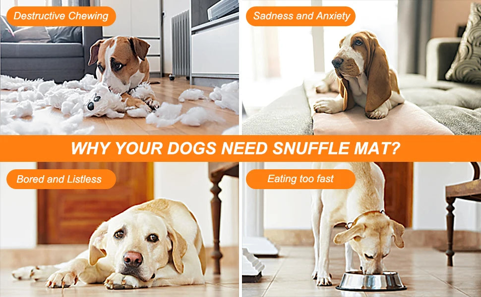 Why dogs need a snuffle mat — chewing, anxiety, boredom and eating too fast | Pawnests