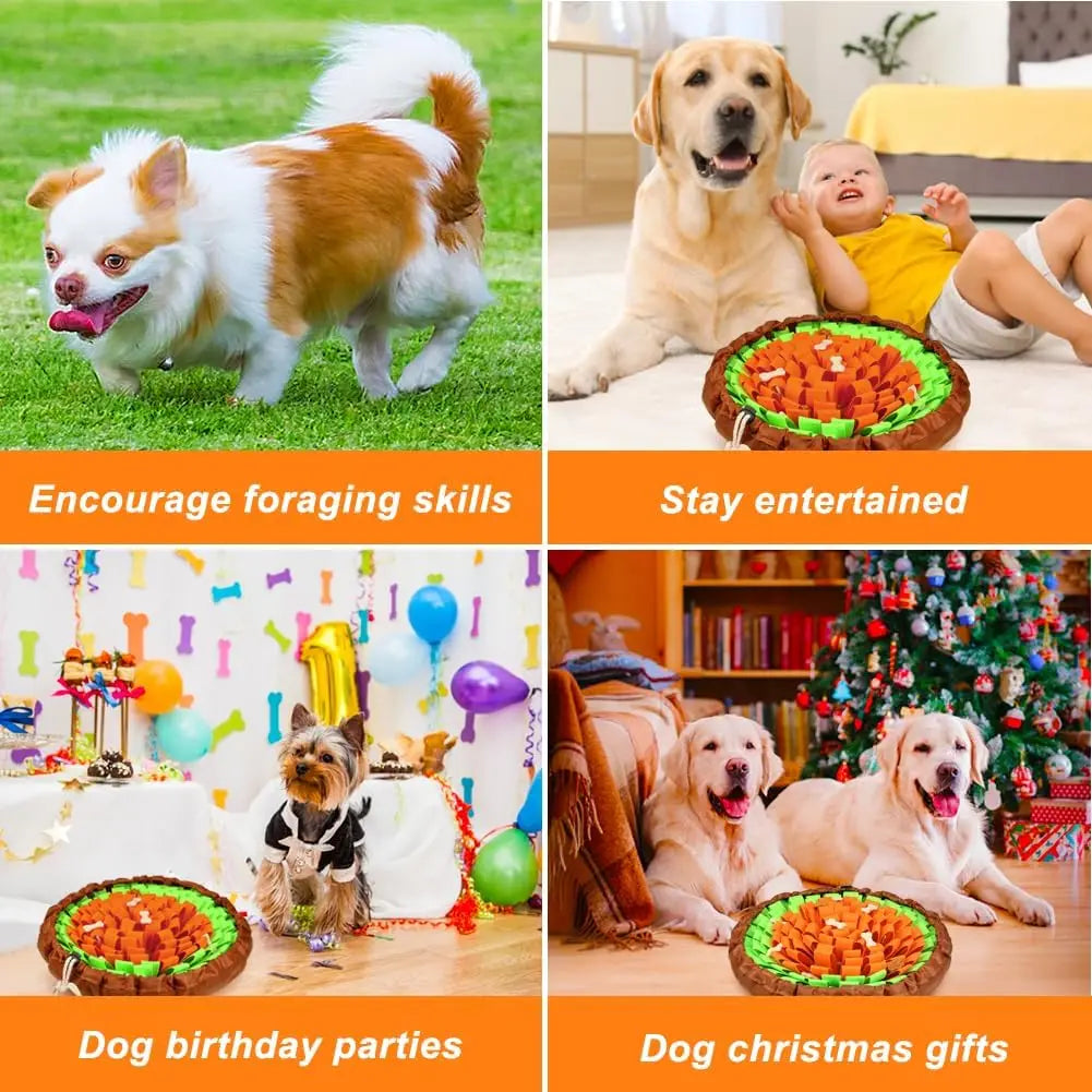 Dogs enjoying snuffle mat — foraging skills, play, parties and holiday gifts | Pawnests