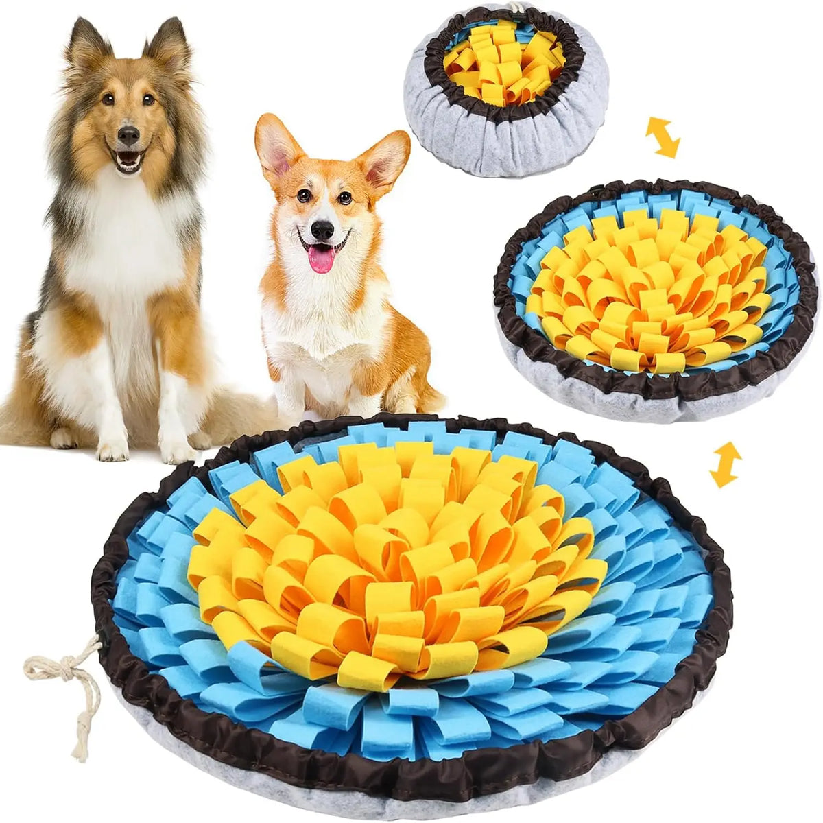 Collie and corgi with yellow and blue snuffle mat for dogs | Pawnests
